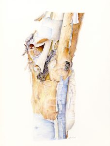 Cynthia Rice
